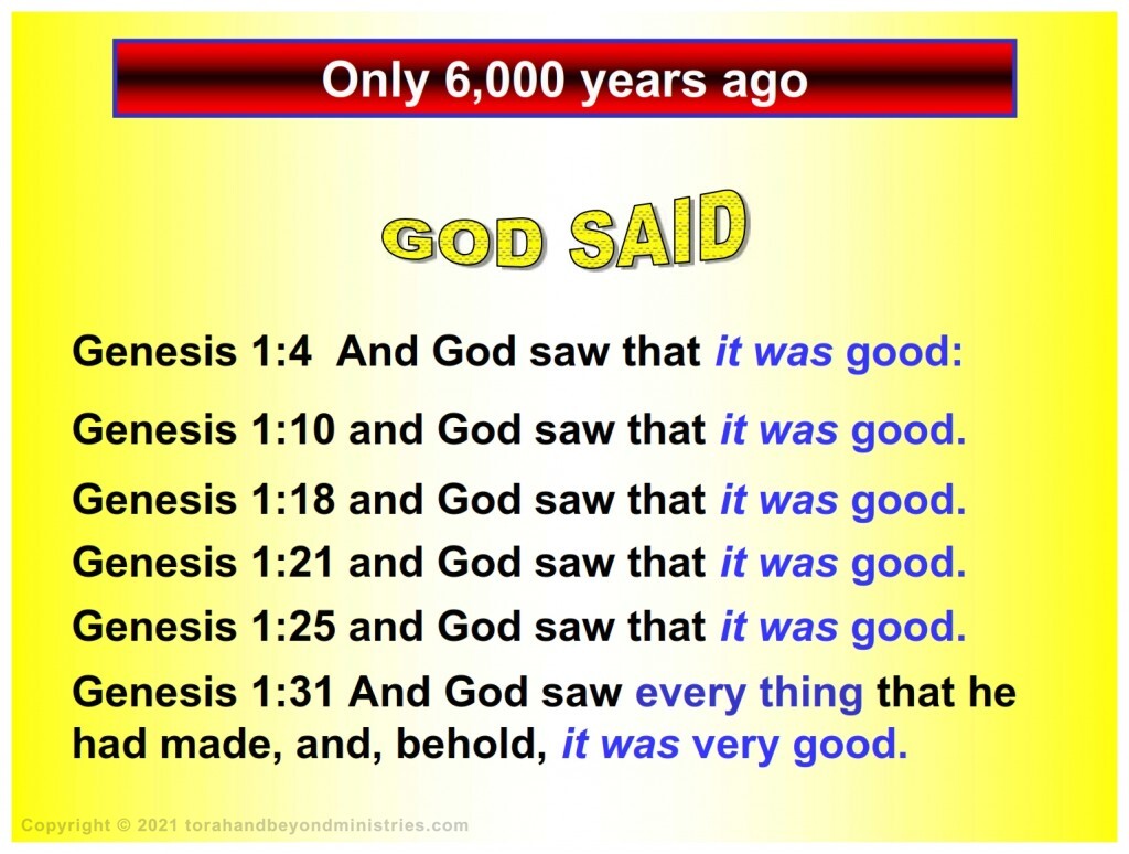 Bitter Herbs Everything God created was good