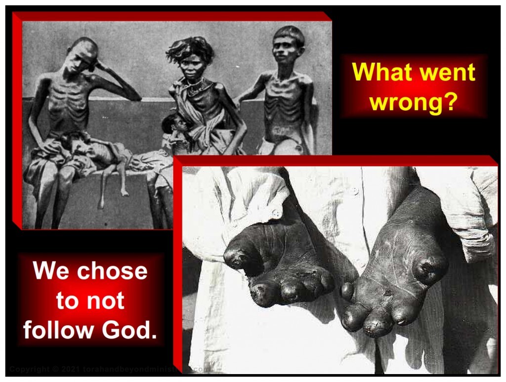 Bitter Herbs mankind