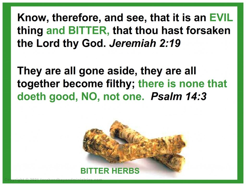 Bitter Herbs Bitter herbs of Passover illustrates our sin leaves a bitterness in our soul