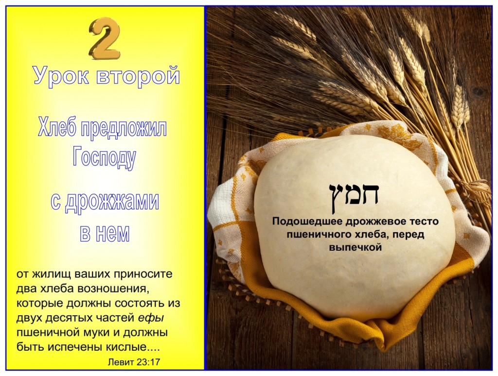 Wheat bread rising with yeast before it is baked for the Feast of Shavuot, Pentecost.