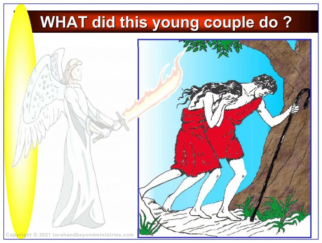 Bitter Herbs Why were Adam and Eve expelled from paradise?