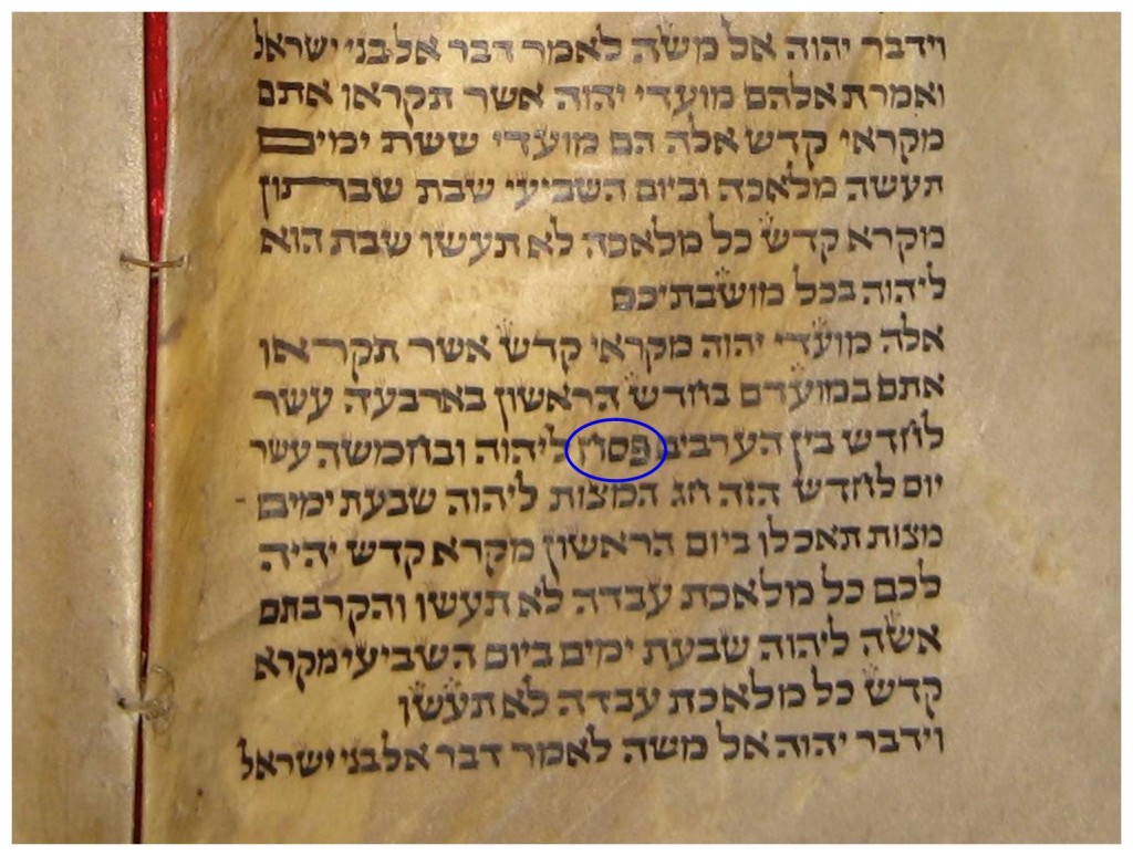 Russian language Bible study of Passover Hebrew scroll from Morocco showing the Hebrew word Passover in Leviticus 23. Russian language Passover