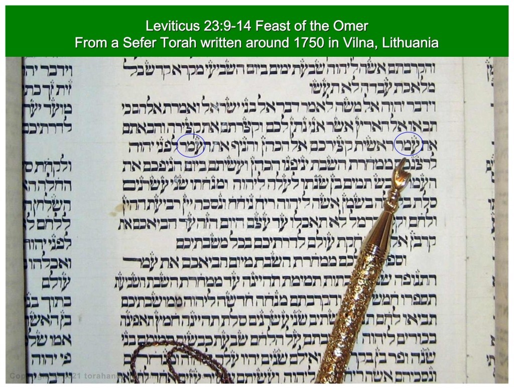 First fruits Torah Scroll written in Vilnius, Lithuania around 1750 showing the word omer as the sheaf of Firstfruits