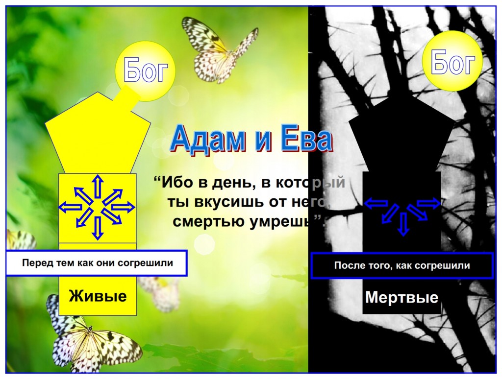 The very instant Adam and Eve ate from the tree their spirit was disconnected, separated, from God. This is death.