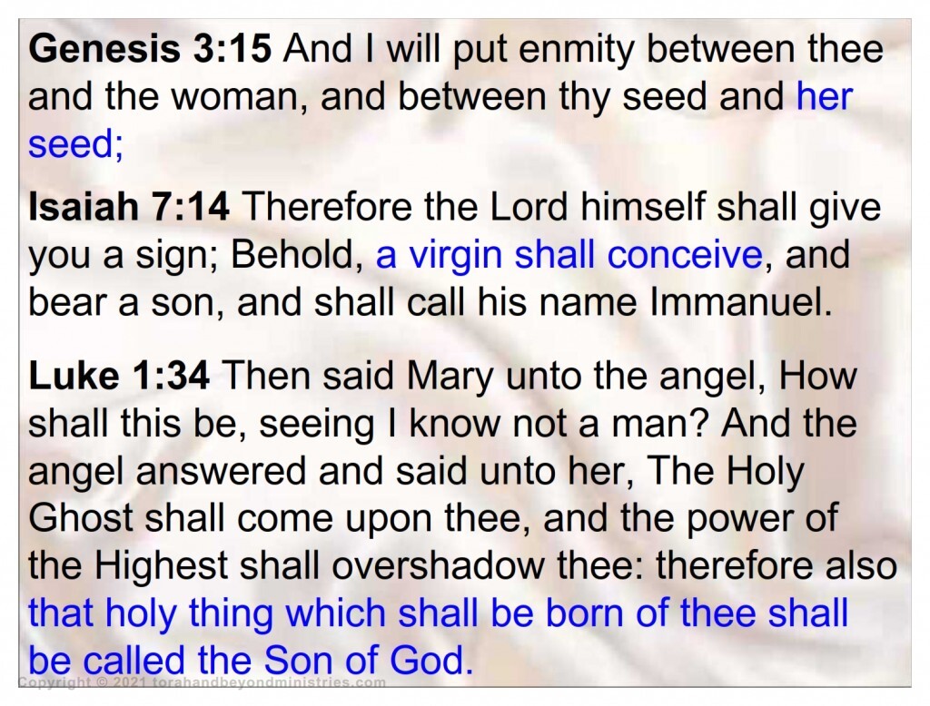 Bitter Herbs The curse Genesis 3:15 the blessing Isaiah 7:14