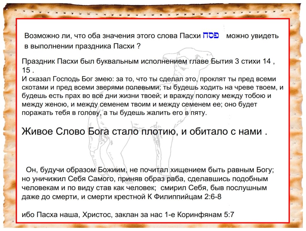 Feast of Weeks The quill in this photograph was used by a Scribe to write a Torah. He said it takes more than 15 quills to write the 304,805 Hebrew letters in a Torah Scroll.