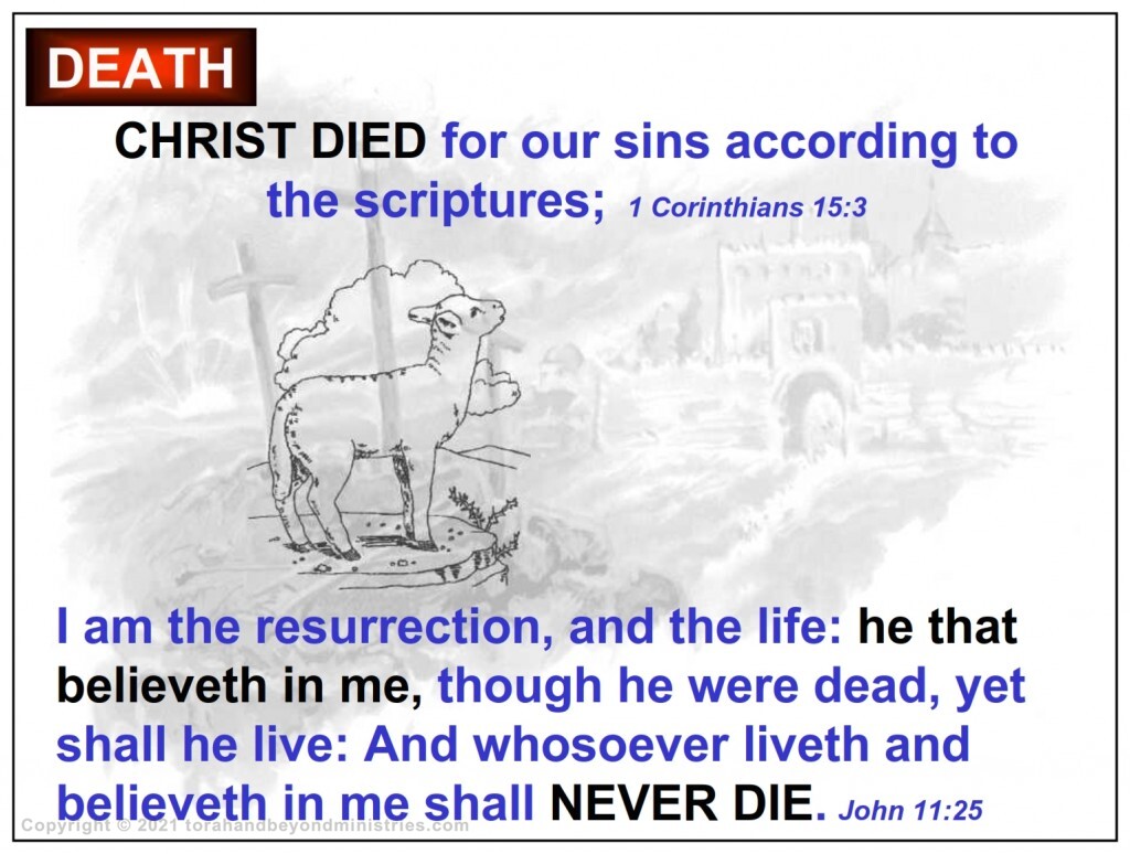 Bitter Herbs If you have been born again you will never die - your spirit is alive