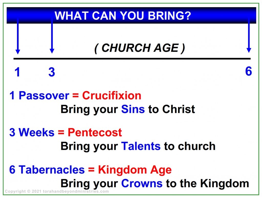 Tabrnacles Lesson 2 What can you bring to the Feasts of the Lord? What God has given you.