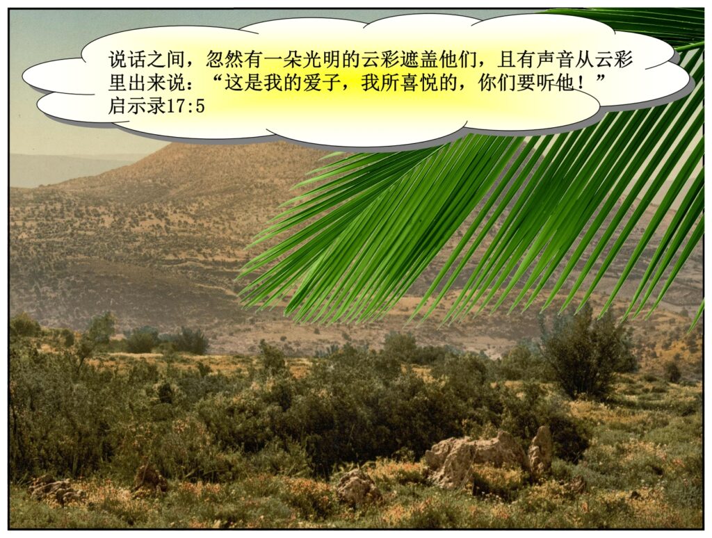 Jesus gives two pictures of the Kingdom Israel will be a garden