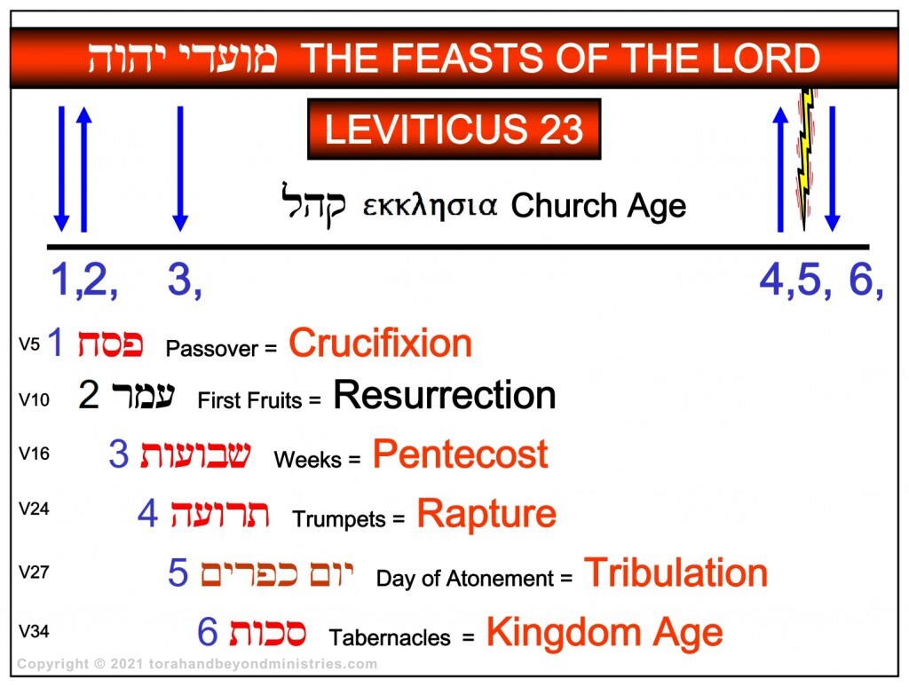 First fruits Chronological chart of Leviticus 23 showing the feasts by order including the Old Testament name and the New Testament fulfillment of each.