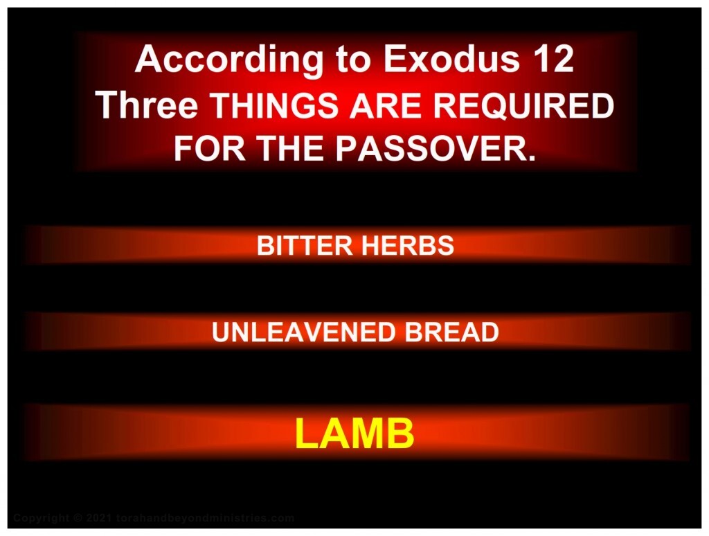 The Lamb Roast lamb is required for Passover. There are no options!