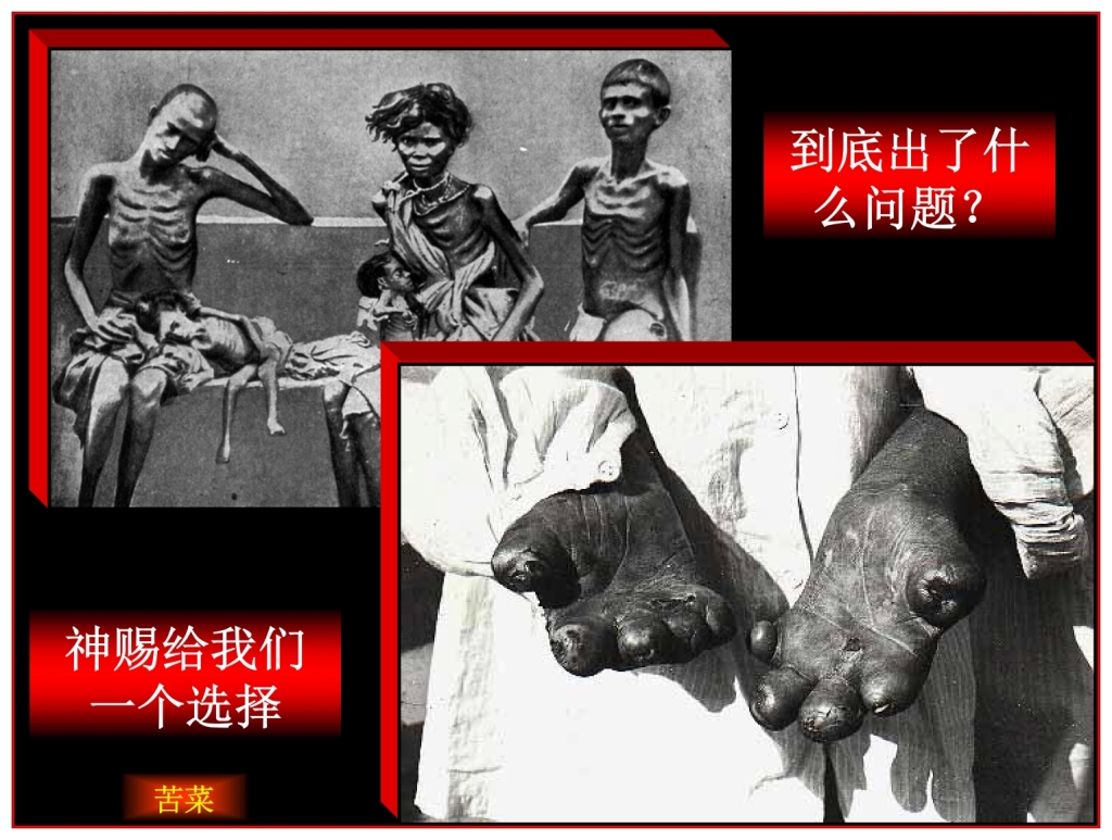 Chinese Language Bible Lesson Disaster, What went wrong