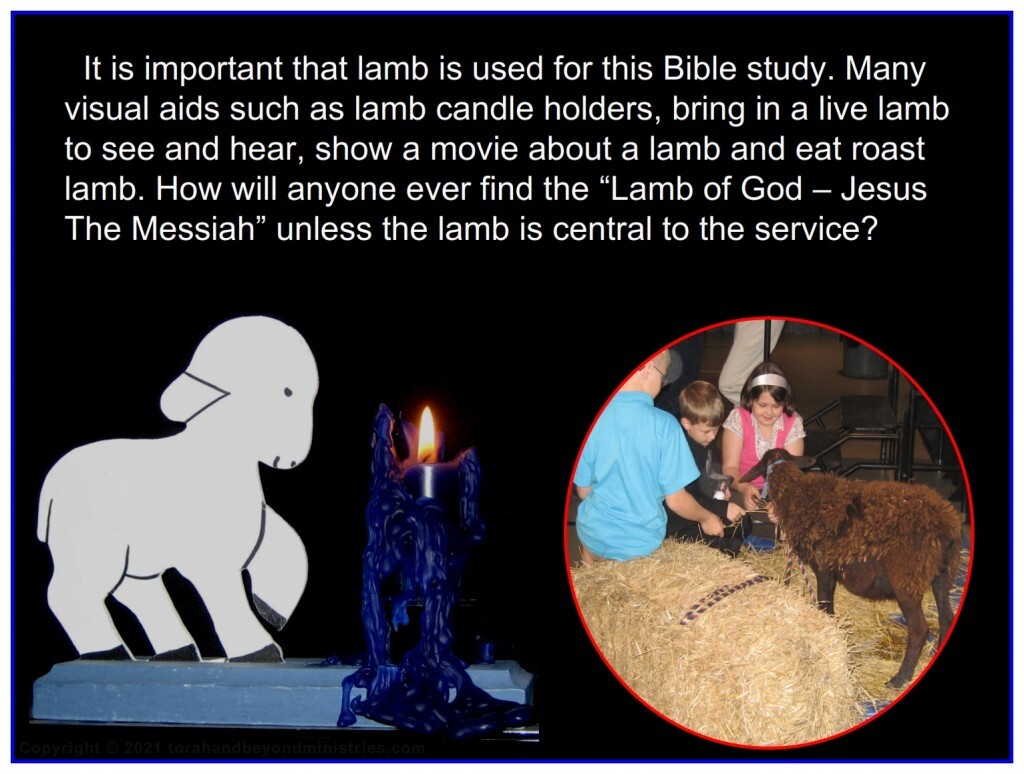 The Lamb Without lamb at Passover the entire meaning is lost. Go ahead and roast lamb.