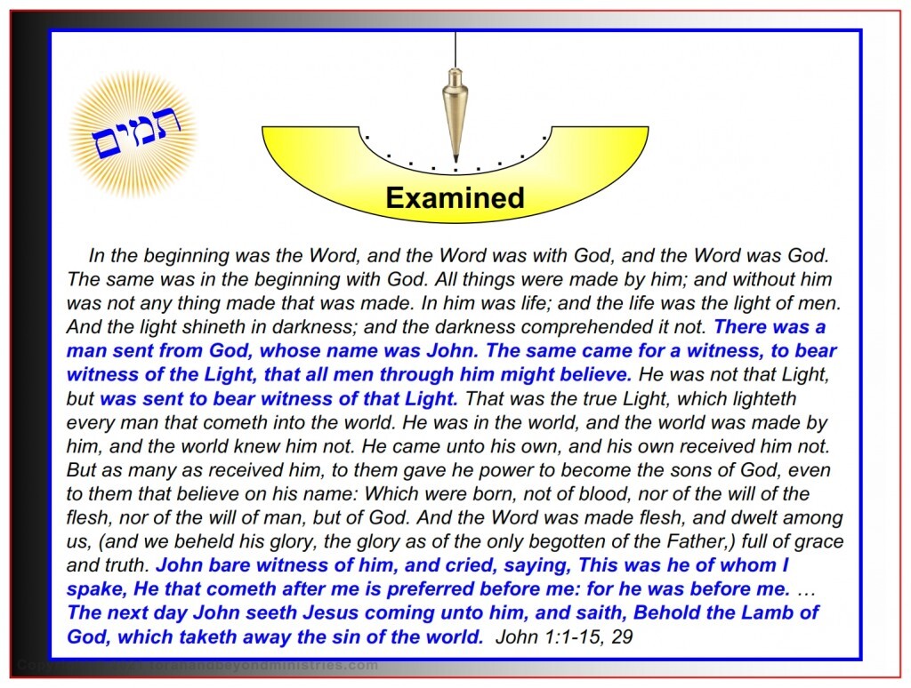 The Lamb Jesus was examined by John the baptist and declared to be the Lamb of God