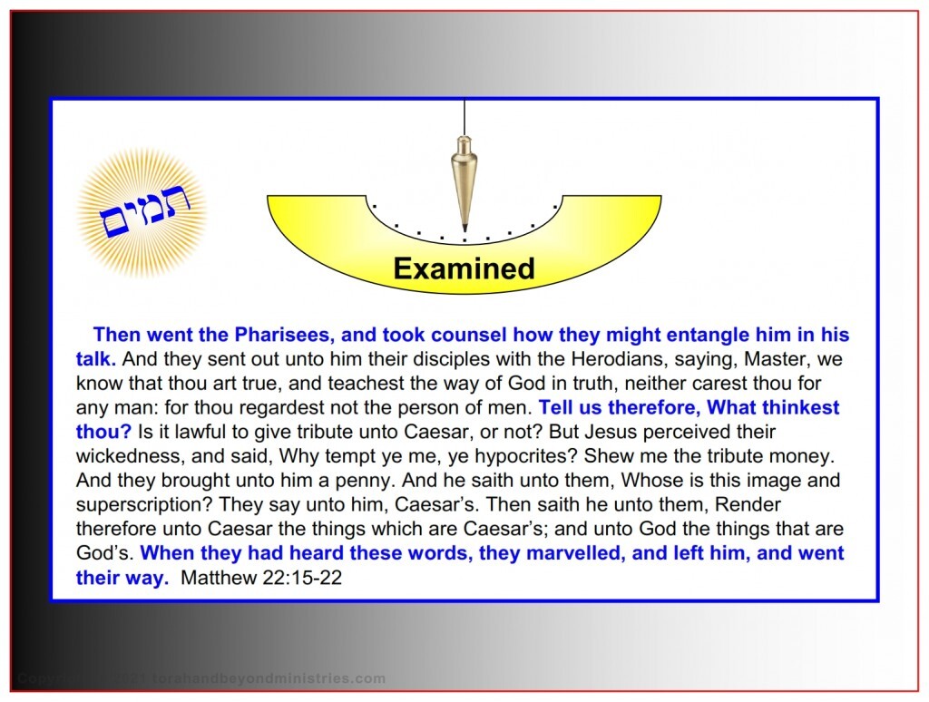 The Lamb The Pharisees examined Jesus and tried to trick Him with hard questions