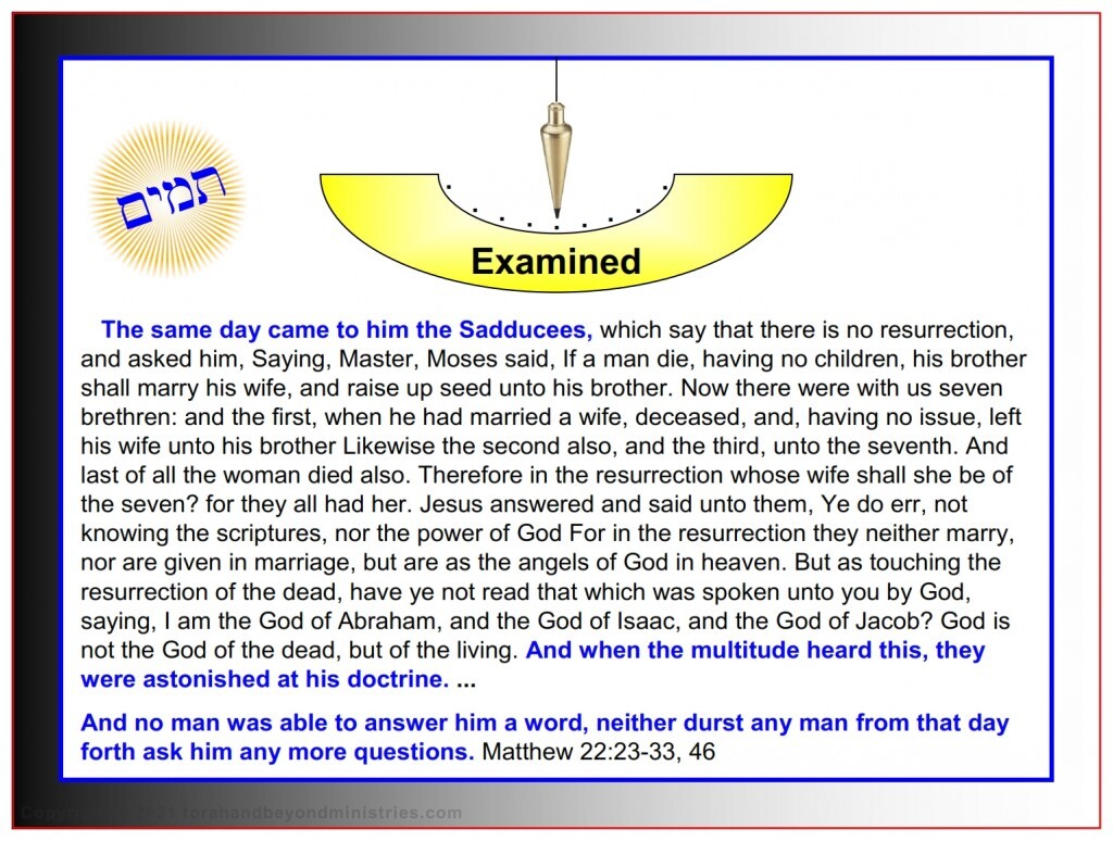 The Lamb The Sadducees examined Jesus and tried to trick Him with hard questions