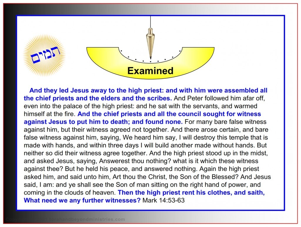 The Lamb The High Priest examined Jesus and brought in false witnesses to prove Him sinful