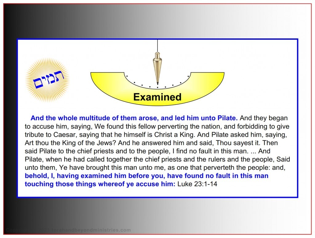 The Lamb The Roman Pilate examined Jesus and found Him guiltless