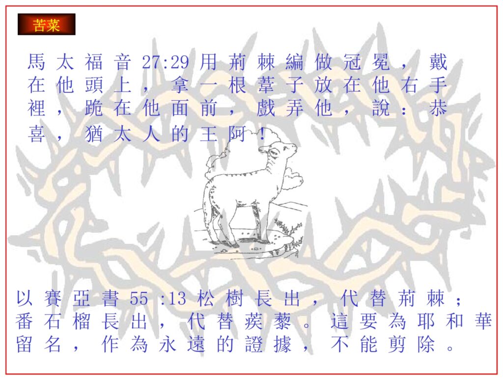 What does God expect of His children? To Grow in the grace and knowledge of the Lord Jesus Christ.