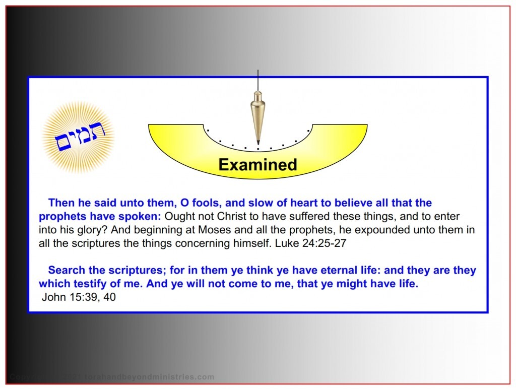 The Lamb Examine Him yourself. Your where you spend eternity depends on it.