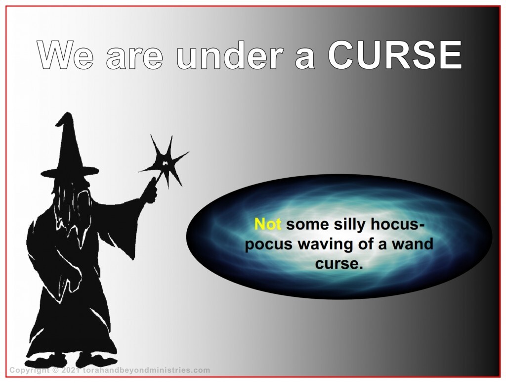 Bitter Herbs The world and everything on it is under a curse from God