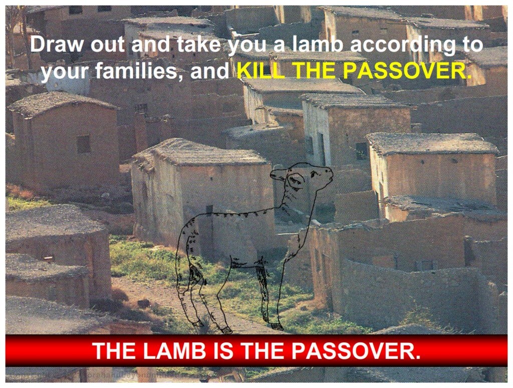 The Lamb It is impossible to have Passover without a lamb because the lamb is the Passover