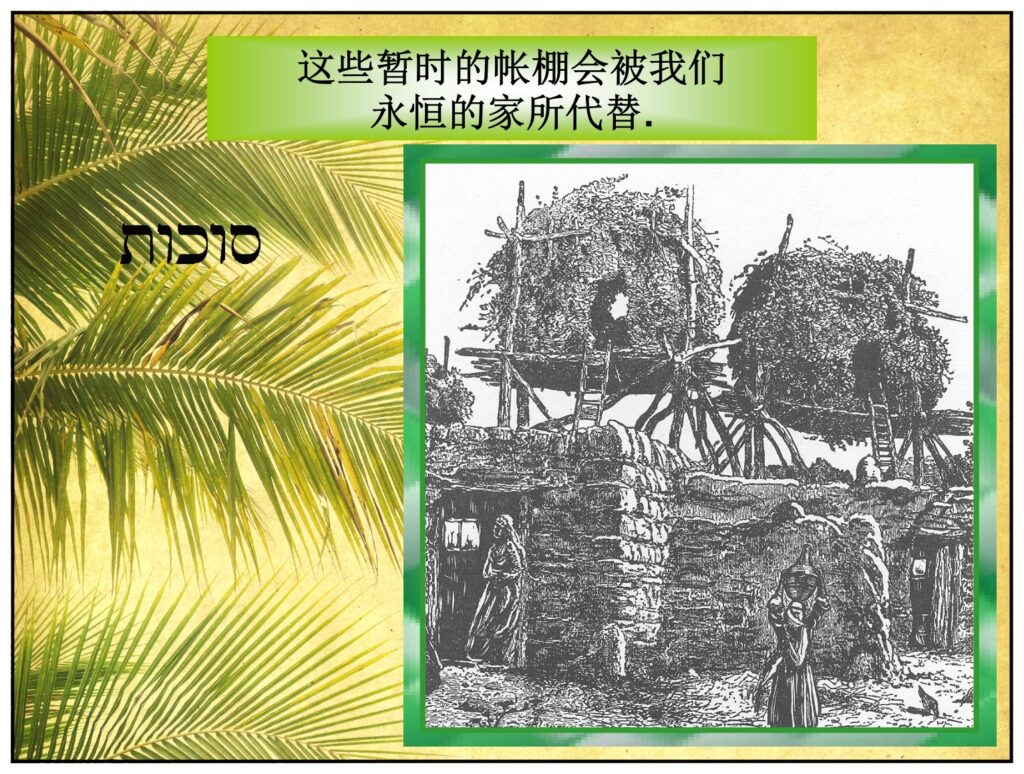 As you grow in the Lord, be careful who you find fault with or who you want to be like. We should only do as the Scripture says: “Looking unto Jesus the author and finisher of our faith” Hebrews 12:2 Everyone else still lives in a sinful body.