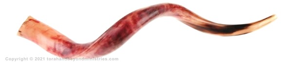 Great Tribulation Seventh Trumpet of the Tribulation