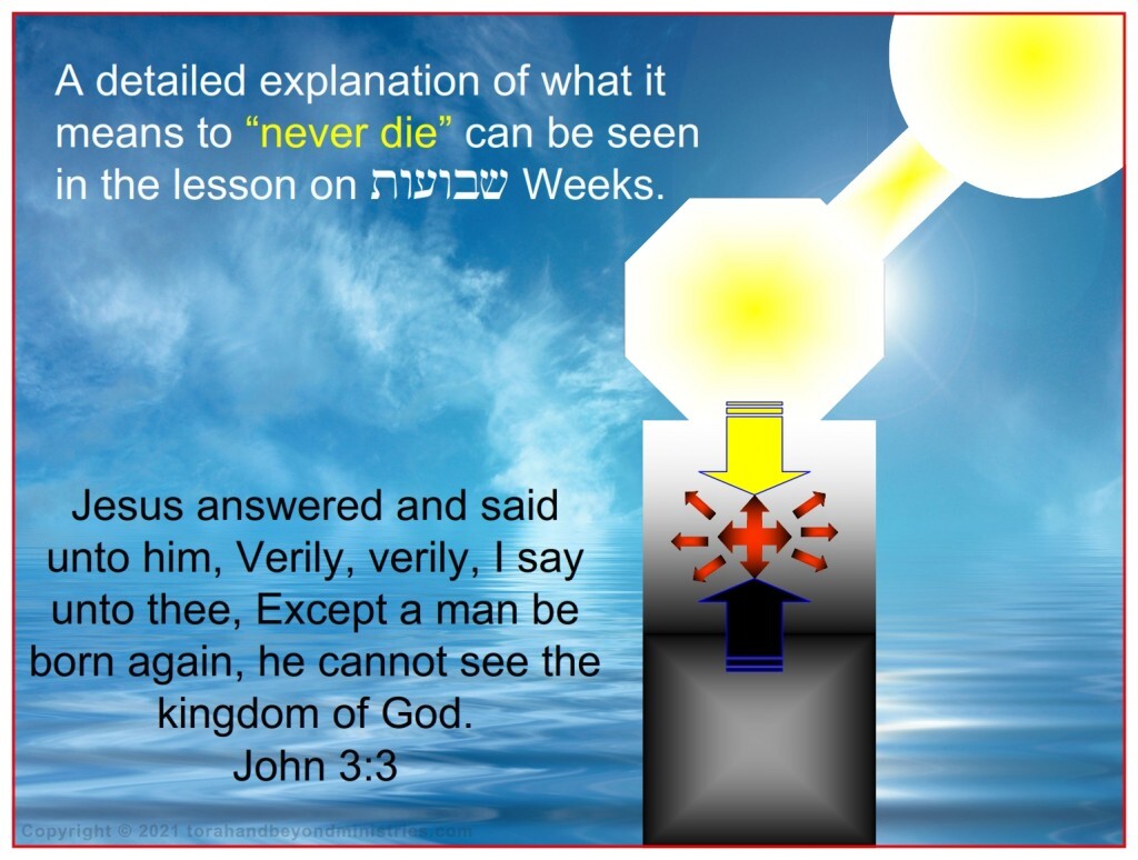 Bitter Herbs The New Birth is God entering into your spirit. He will never leave.