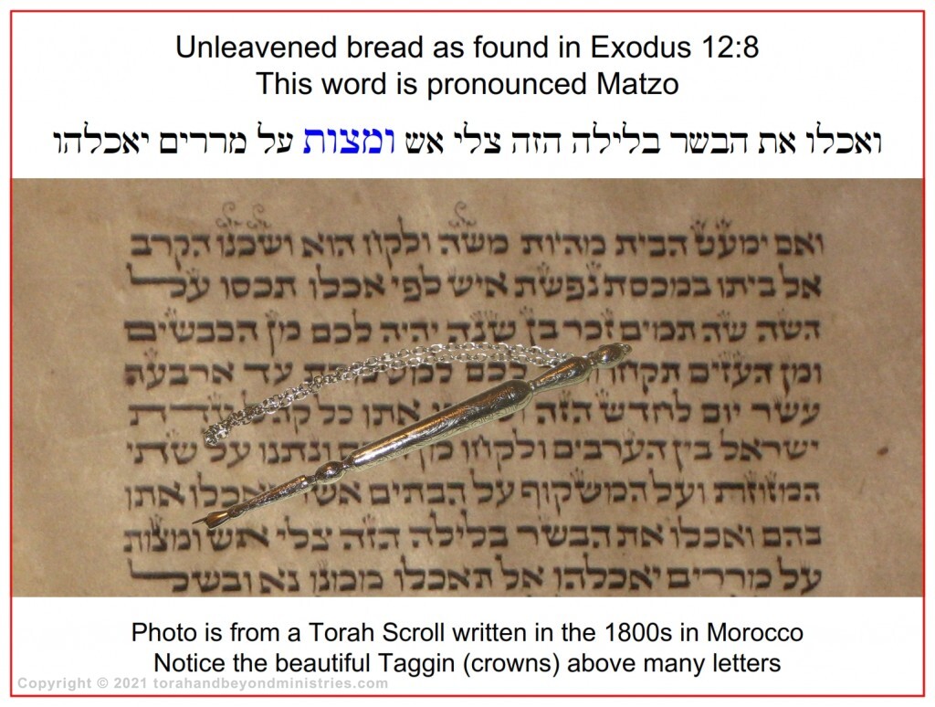Unleavened Bread Torah Scroll written Morocco showing the word Matzo in Exodus 12
