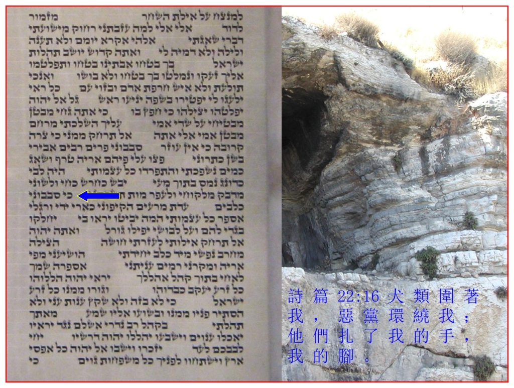 Chinese Language Bible Lesson Psalm 22 Authentic Hebrew Scroll of Psalms