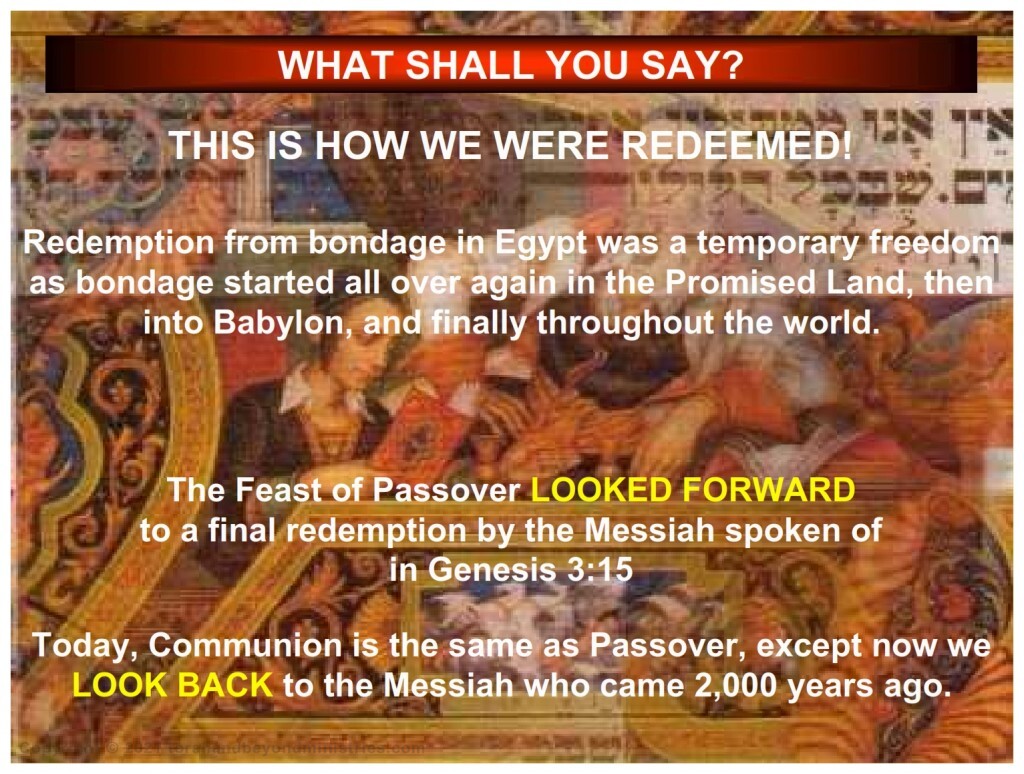 Passover “What is the Passover?” Passover gave physical redemption from slavery The fulfillment of Passover will give spiritual redemption from slavery