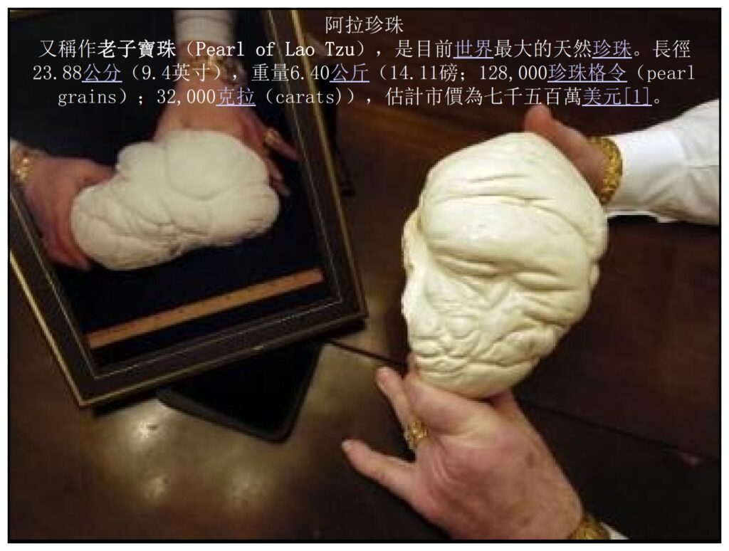 God sends some life-form to Earth to open the Bottomless Pit. The Scripture indicates that this bright object will be alive.