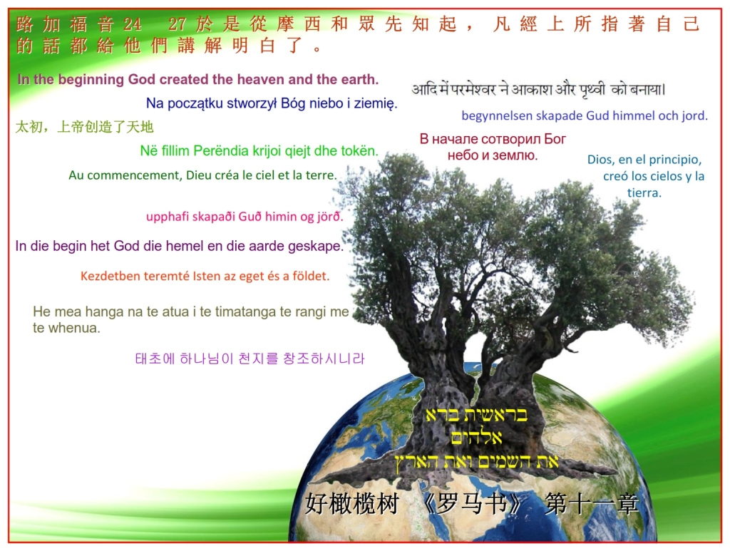 Passover Exodus 12 Chinese Language Bible study