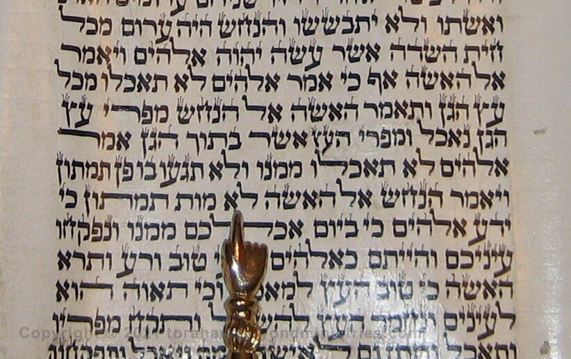 The Scribe Genesis 3:1-6 from Torah Scroll The First lie was the Serpent