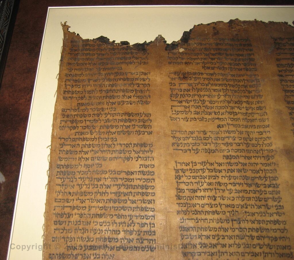 Museum Quality Frames IMG_9499