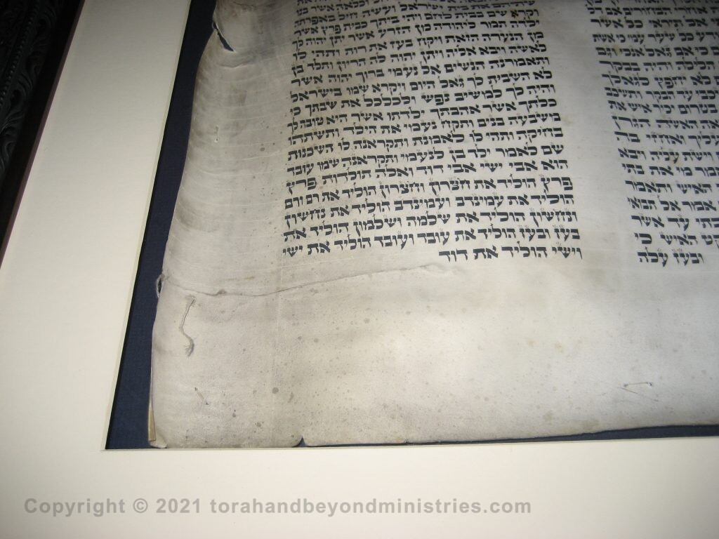 Museum Quality Frames IMG_9508