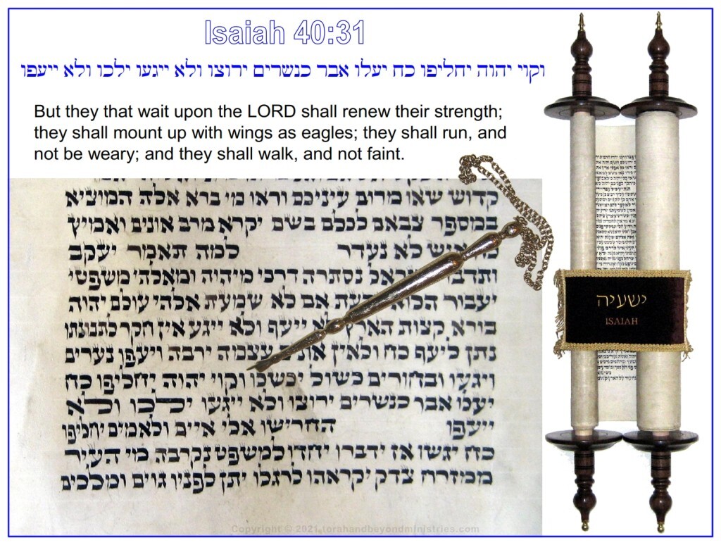 Isaiah 40:31 But they that wait upon the LORD shall renew their strength; they shall mount up with wings as eagles;