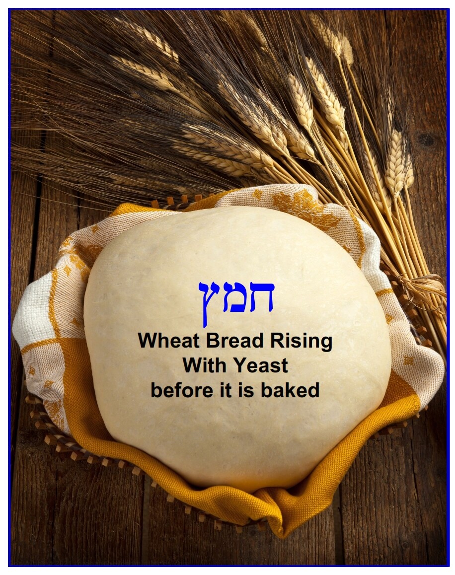Leaven This is wheat dough rising with yeast. In the Hebrew Scripture this is called chametz, or the bread that is forbidden to use during Passover.