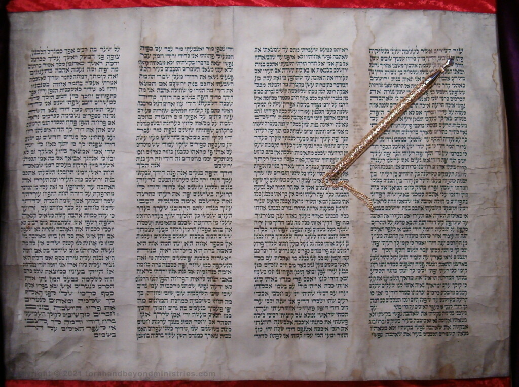 Bitter Herbs Scroll of the Song of Songs damaged in the Holocaust