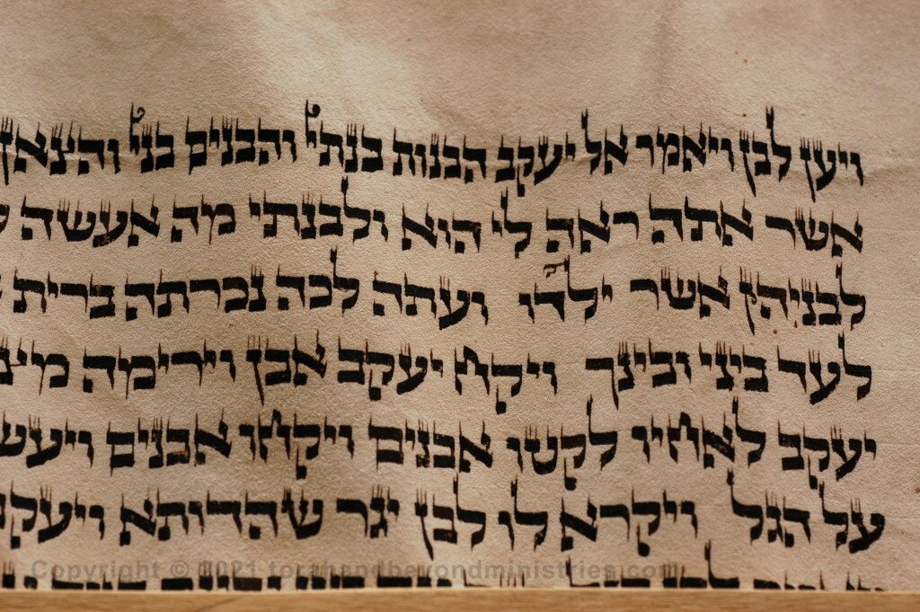 The Scribe Taggin, small upward pointing lines added to the letters of Biblical Hebrew