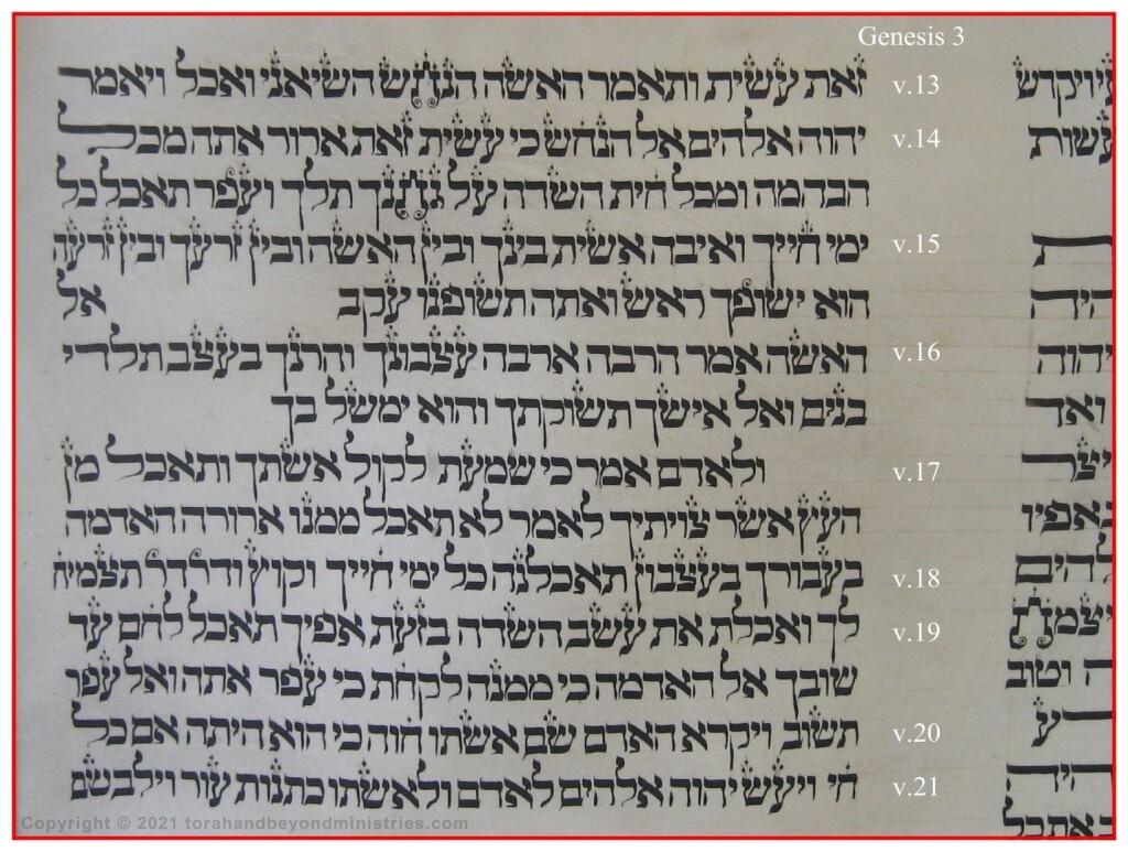 Bitter Herbs God talks to the serpent, then to Eve and Adam