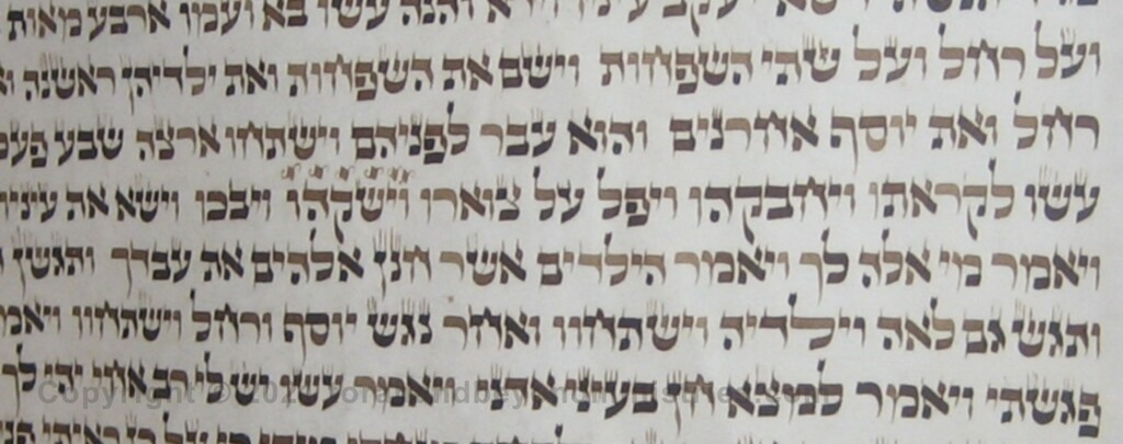 Kosher Ink letters are becoming light on this Torah Scroll due to iron gall ink degradation