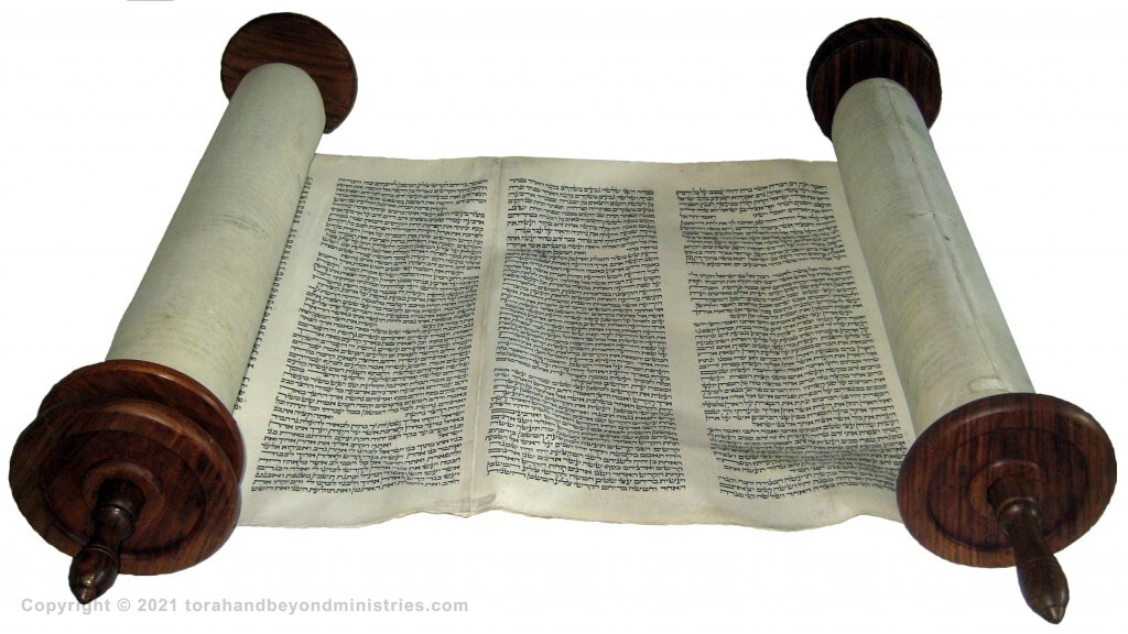 First fruits Complete Hebrew Torah Scroll written in Lithuania around 1750