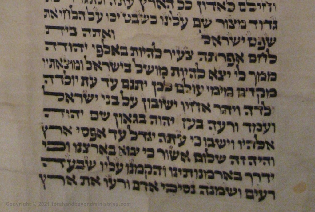 Bitter Herbs The book of Micah 5 as seen in the Hebrew Scroll of the 12 Prophets