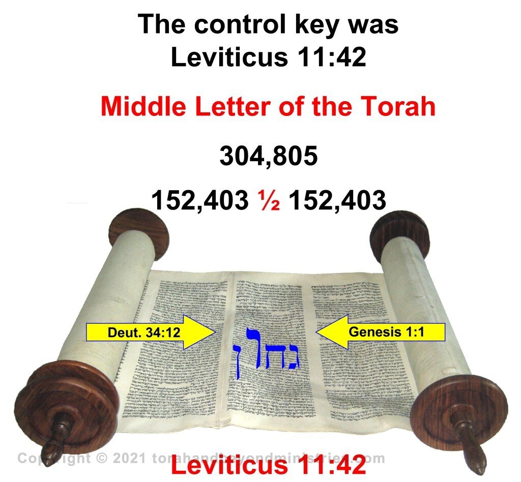 The Scribe middle letter of the Torah is Leviticus 11:42