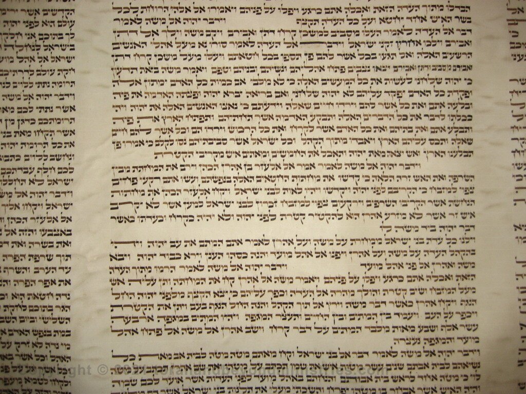 The Scribe Old Torah Scroll that has been re-lettered to keep it kosher.