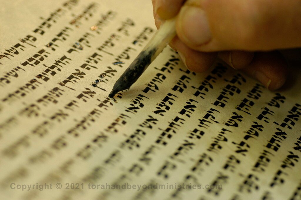 The Scribe Scribe re-lettering a Torah Scroll to keep it kosher