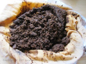 Kosher Ink strain oak galls