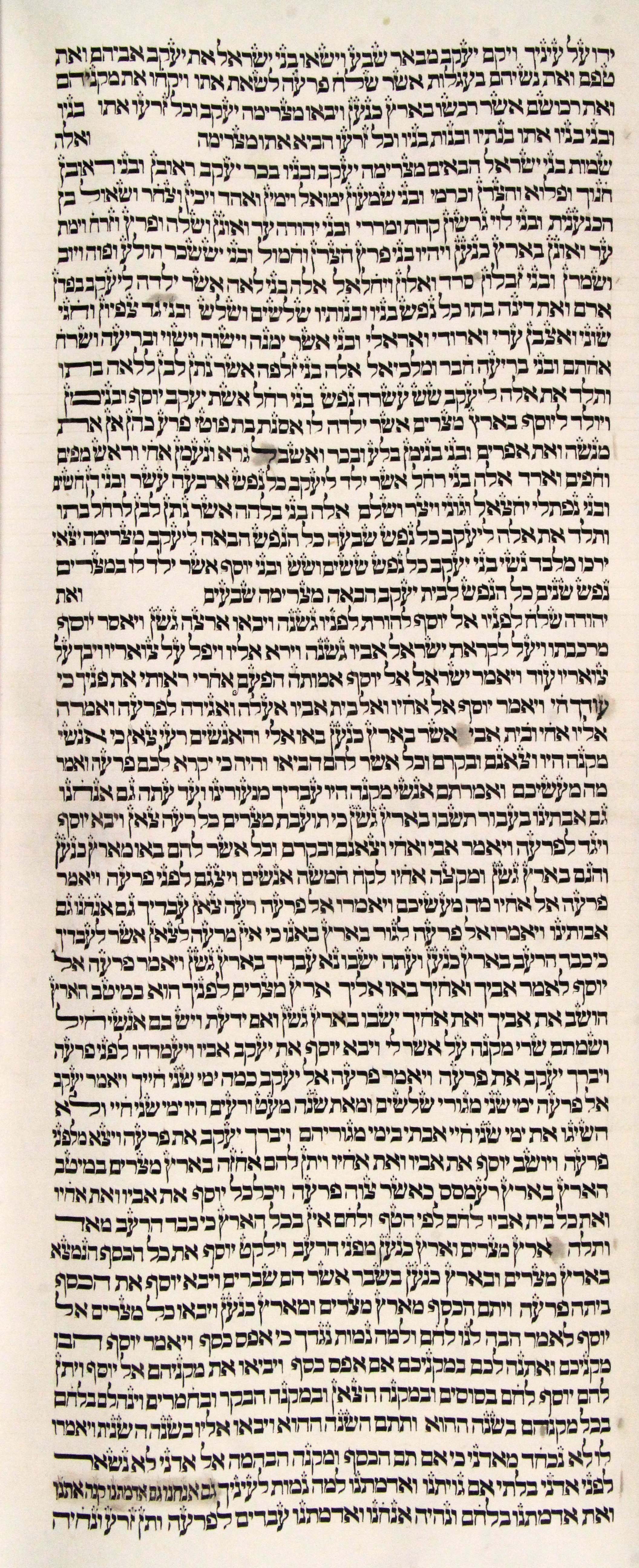 Torah Sheet 12 Column 2 Genesis 46:4d through 47:19c s12c2-Genesis_46-4d_to_47-19c